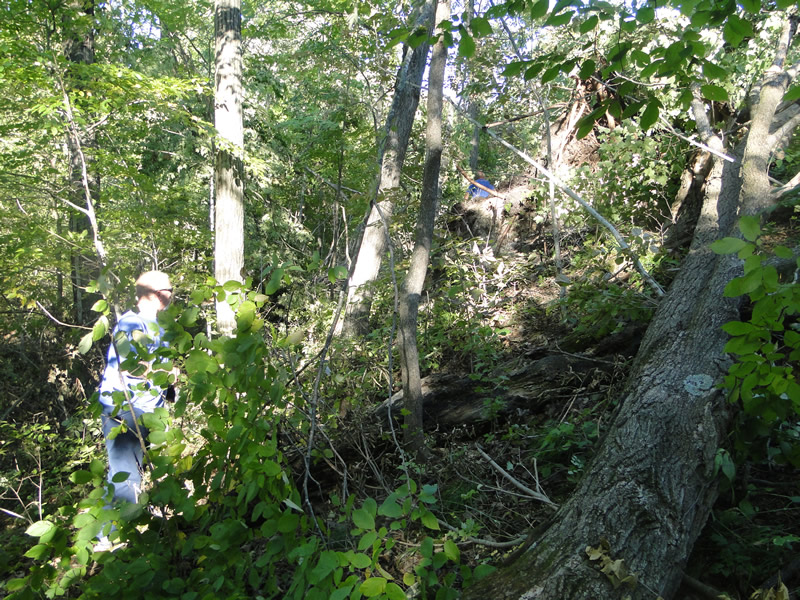 /pictures/Trail Clean Up 2018/DSC06582.jpg